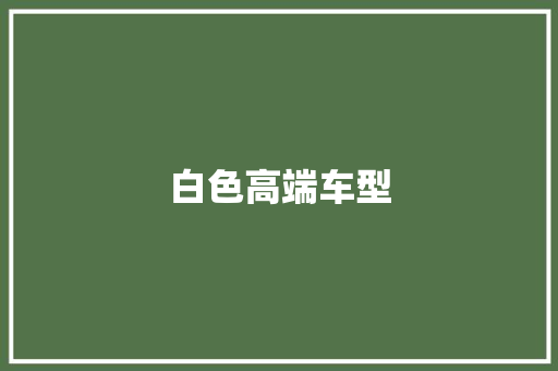 白色高端车型