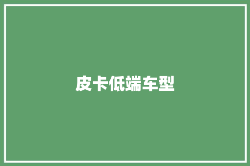 皮卡低端车型