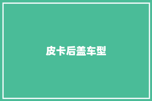 皮卡后盖车型