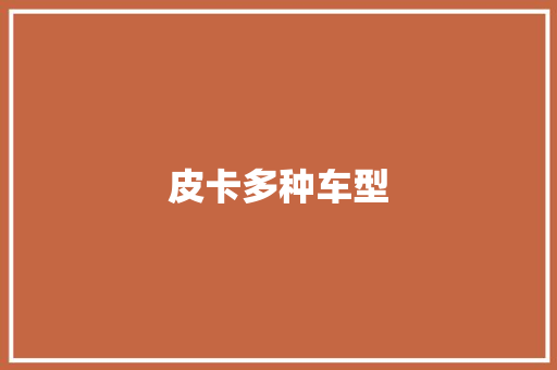 皮卡多种车型