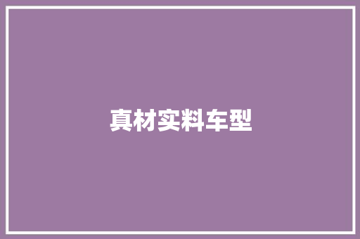 真材实料车型