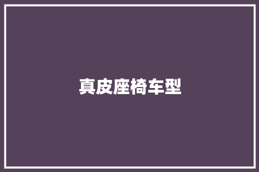 真皮座椅车型