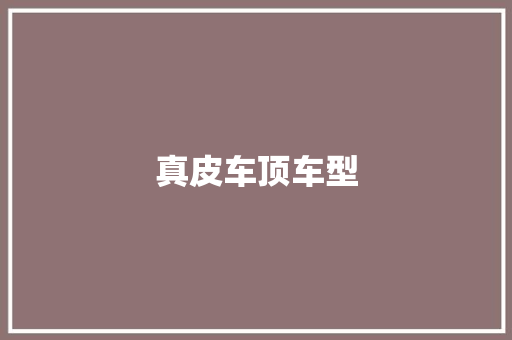 真皮车顶车型