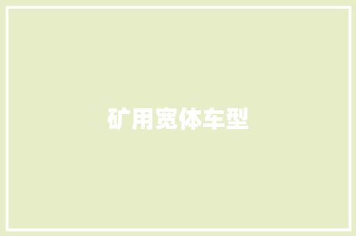 矿用宽体车型