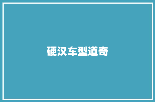 硬汉车型道奇