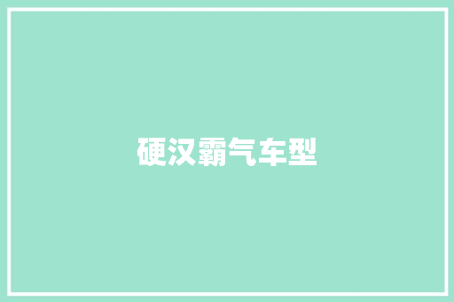 硬汉霸气车型