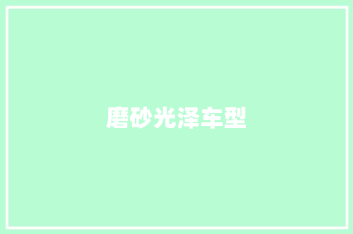 磨砂光泽车型