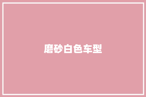 磨砂白色车型