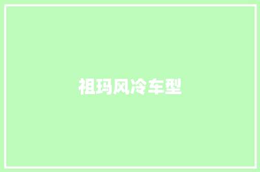 祖玛风冷车型