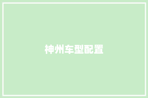 神州车型配置