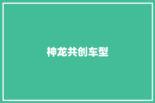 神龙共创车型