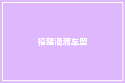 福建滴滴车型