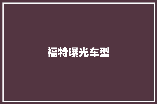 福特曝光车型