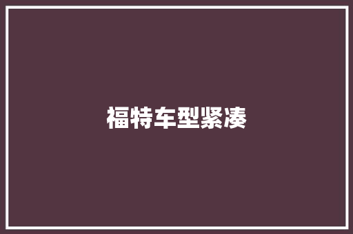 福特车型紧凑