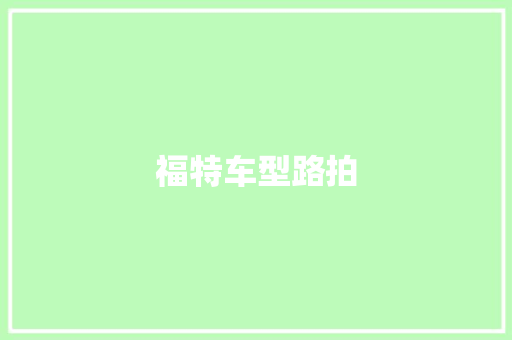 福特车型路拍