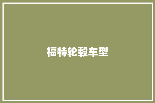 福特轮毂车型