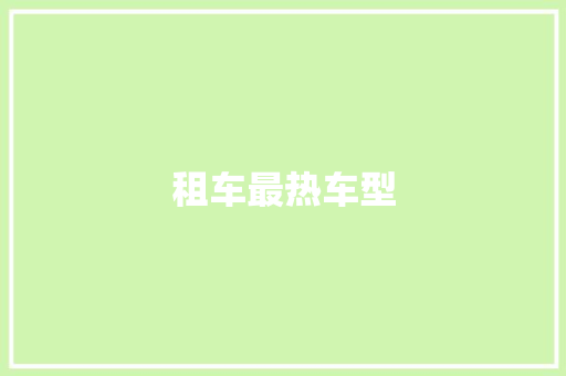 租车最热车型