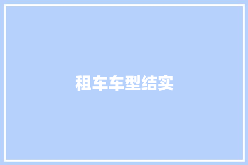 租车车型结实