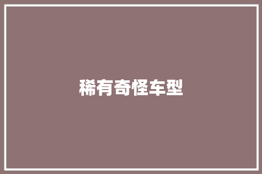 稀有奇怪车型