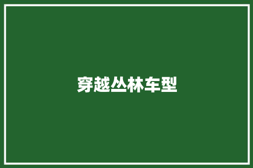 穿越丛林车型
