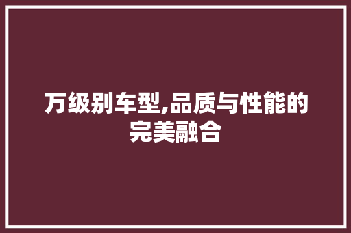 万级别车型,品质与性能的完美融合