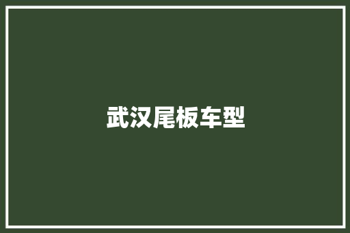武汉尾板车型
