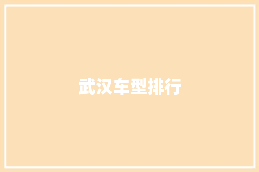 武汉车型排行