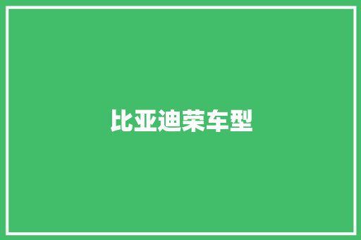 比亚迪荣车型 变速箱配件