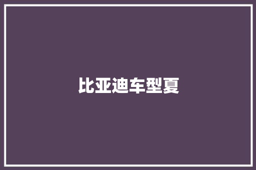 比亚迪车型夏