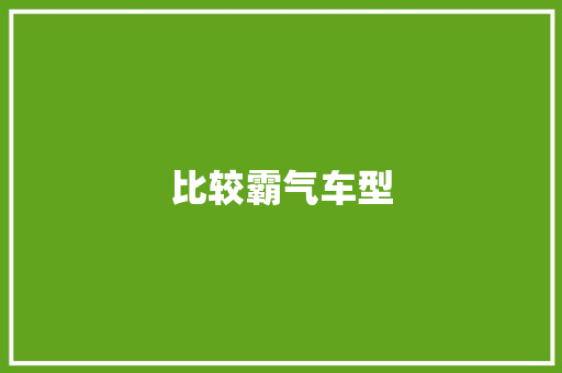 比较霸气车型