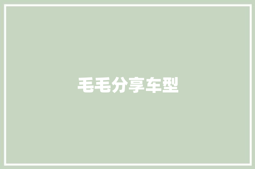 毛毛分享车型
