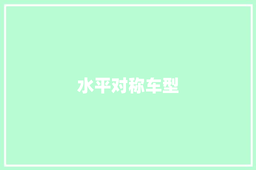 水平对称车型