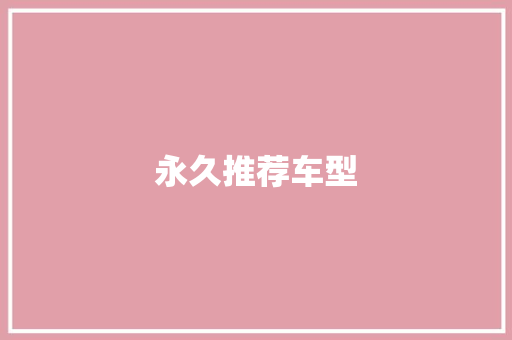 永久推荐车型