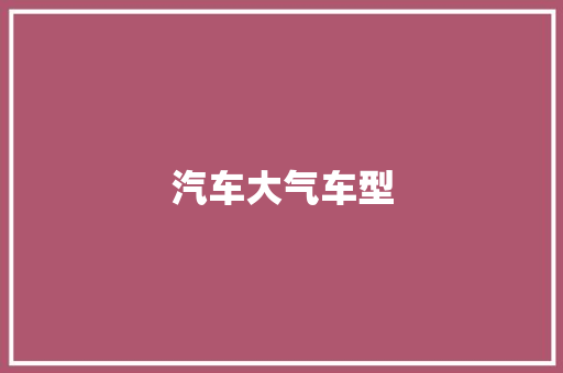 汽车大气车型
