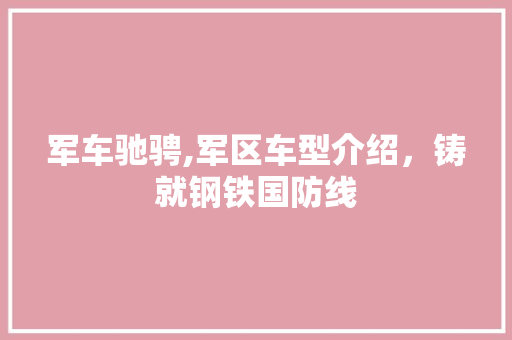 军车驰骋,军区车型介绍，铸就钢铁国防线 新能源汽车