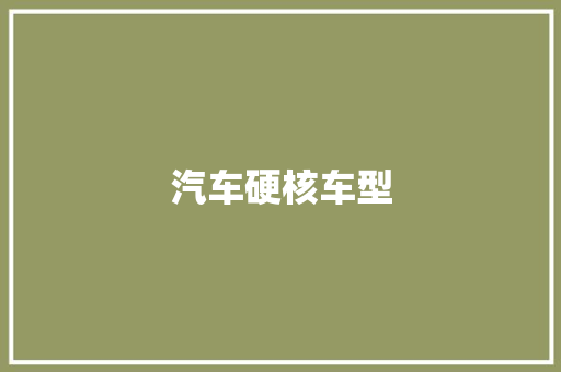 汽车硬核车型