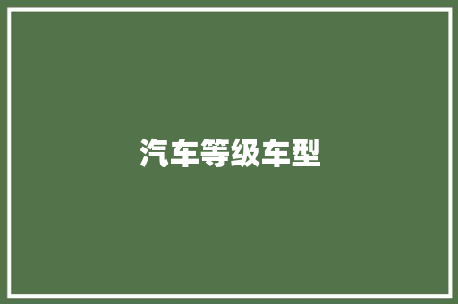 汽车等级车型
