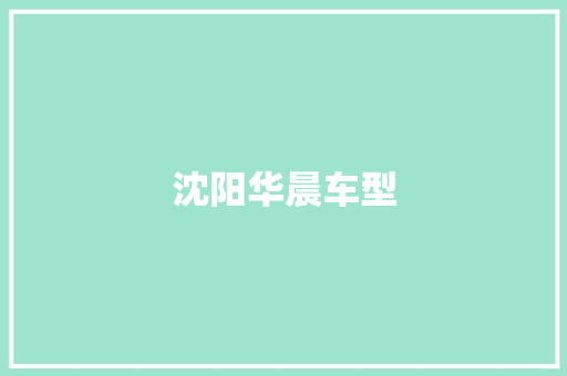 沈阳华晨车型
