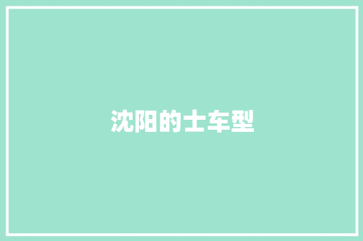 沈阳的士车型