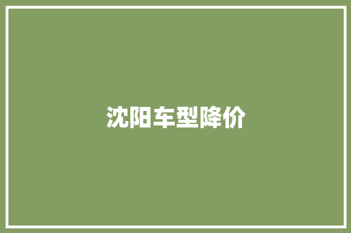 沈阳车型降价