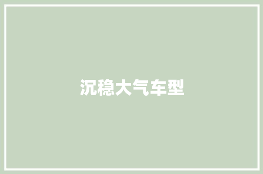 沉稳大气车型