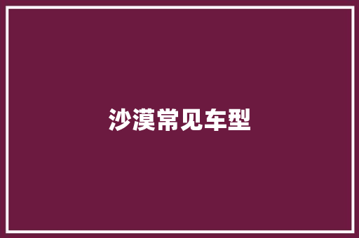 沙漠常见车型