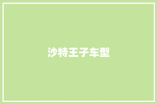 沙特王子车型