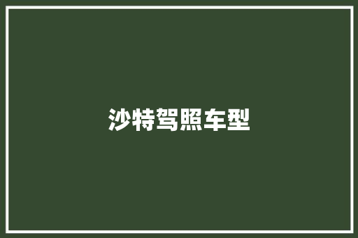 沙特驾照车型