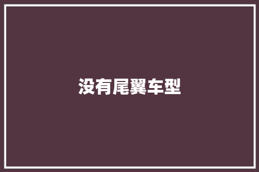 没有尾翼车型