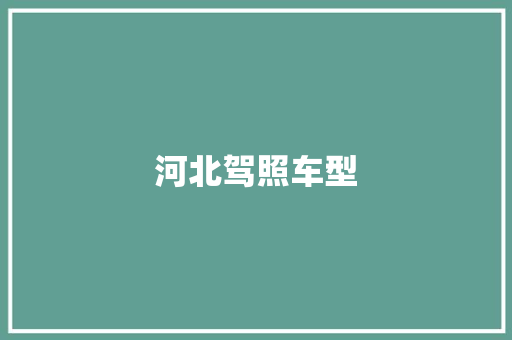 河北驾照车型