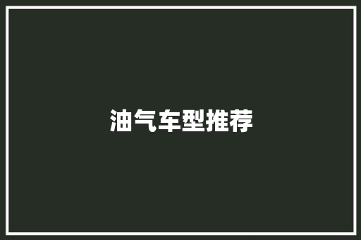 油气车型推荐