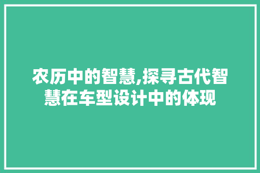 农历中的智慧,探寻古代智慧在车型设计中的体现 车身配件