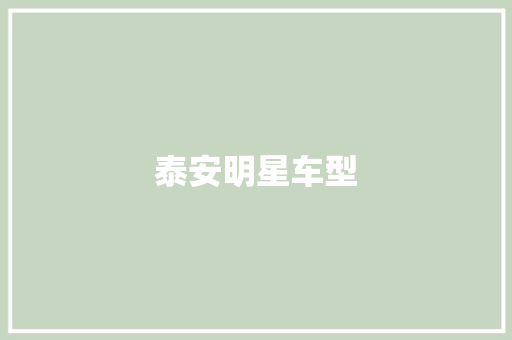 泰安明星车型