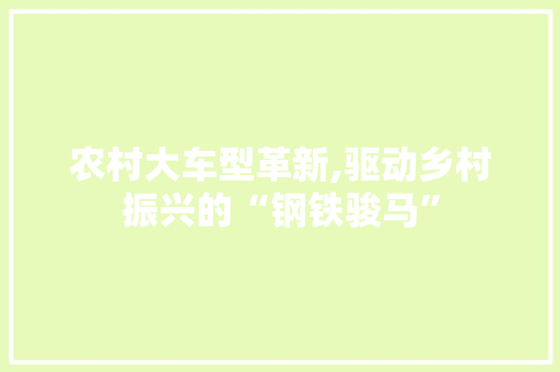 农村大车型革新,驱动乡村振兴的“钢铁骏马” 变速箱配件